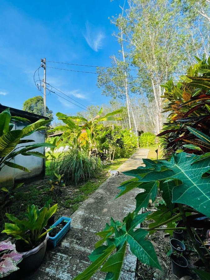 Lok Mun Bungalows Ko Yao Noi Dış mekan fotoğraf